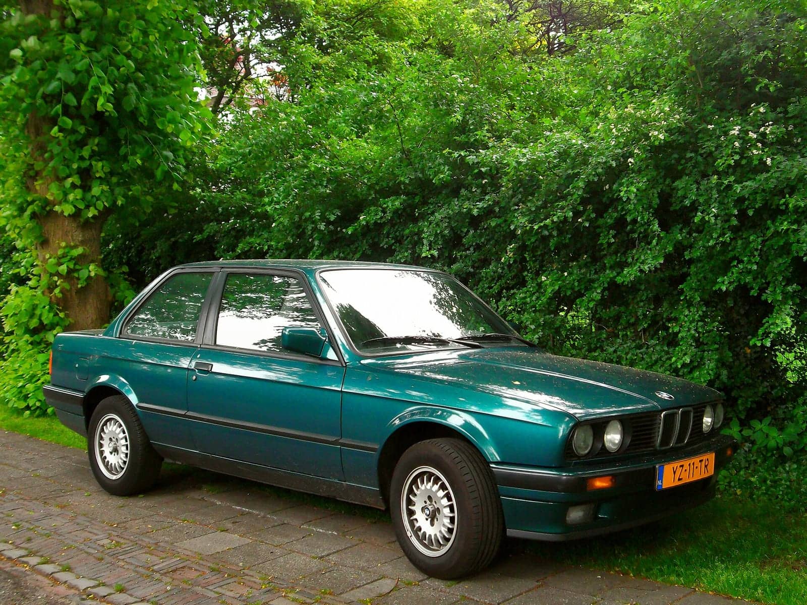 Green BMW 316i four-door (facelift), front three-quarter view